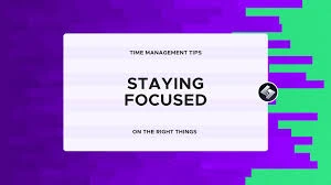  successful freelancers